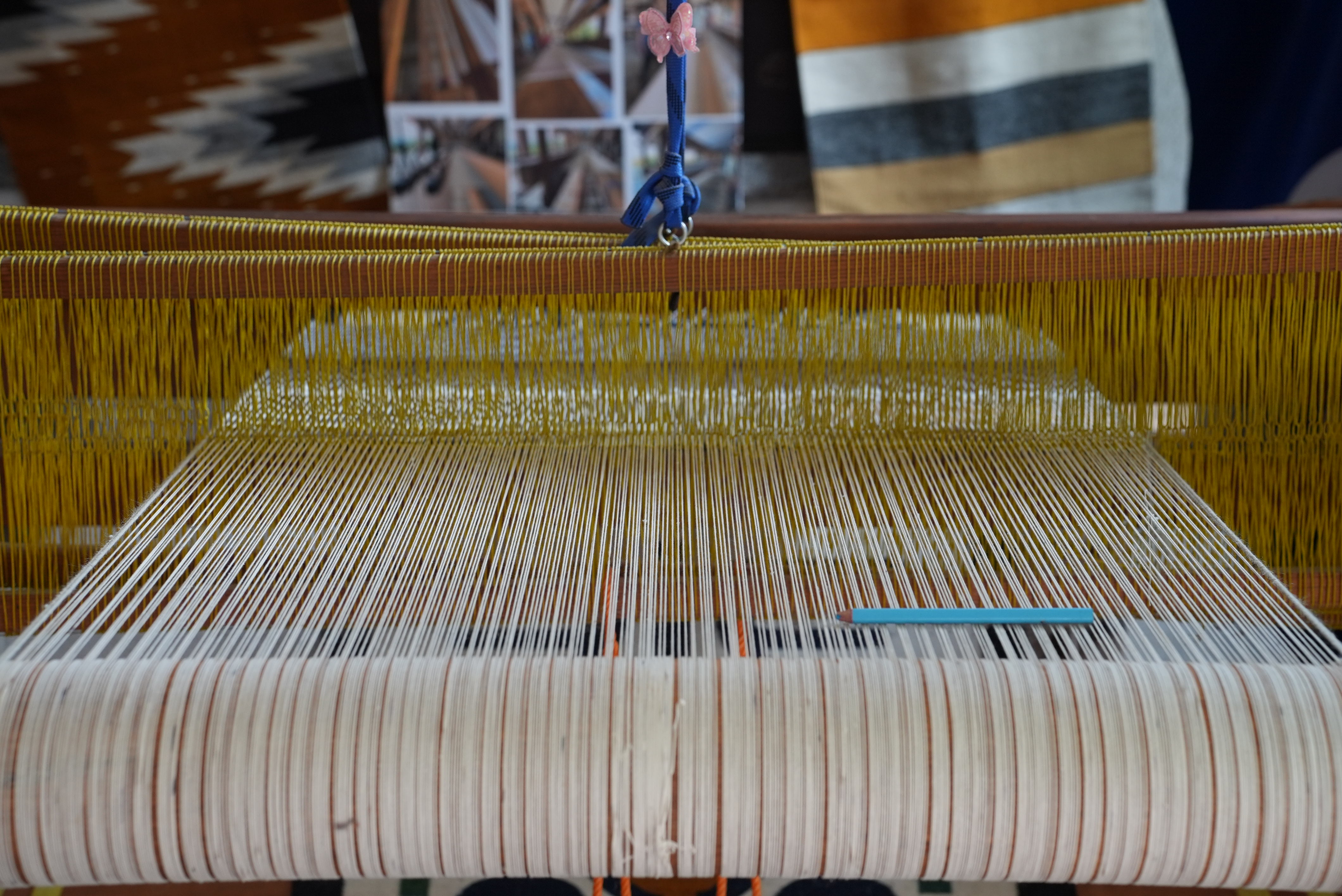 Cochineal, indigo, and marigold dye materials used to color authentic Zapotec rugs